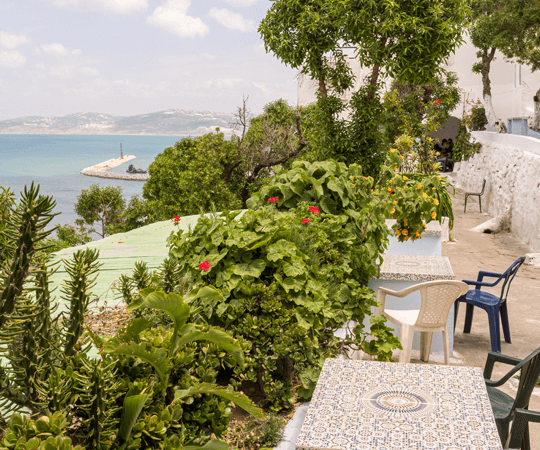 عودة بالزمن