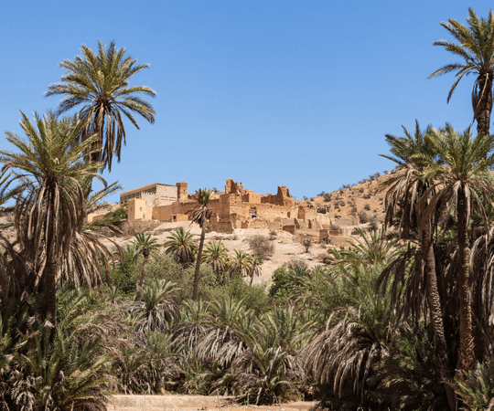 اكتشاف المناطق المجاورة