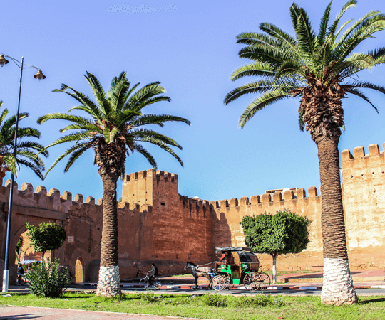 اكتشاف صناعة الجلود