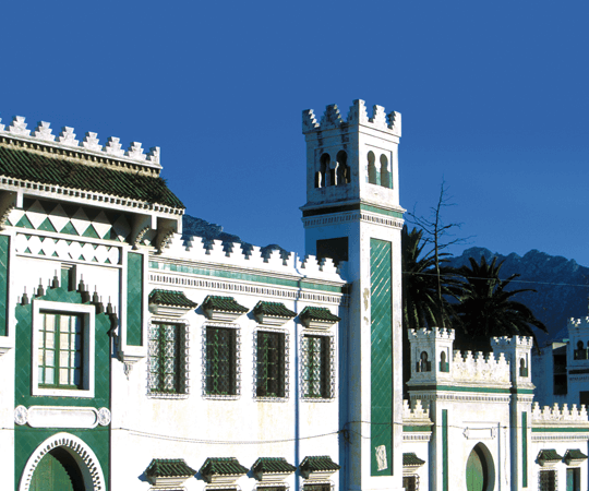 استكشاف المشهد الفني للمدينة