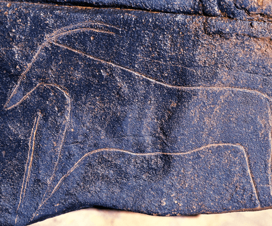 إذا كان لديك يوما إضافيا…