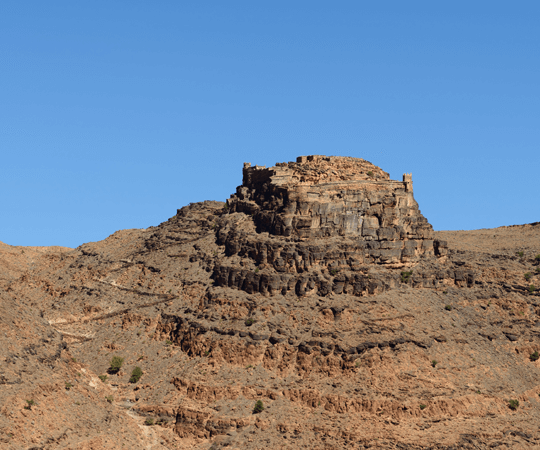 إذا كان لديك يوماً إضافيا…