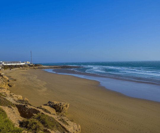 إذا كان لديك يوماً إضافياً…