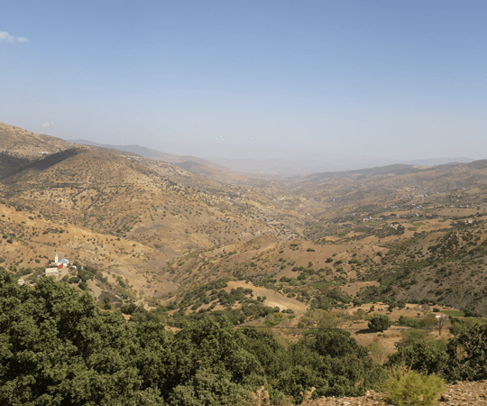 Si vous avez un jour de plus…