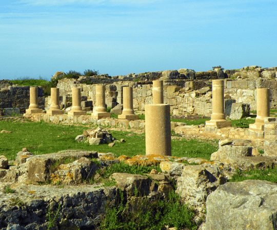 إذا كان لديك يوما إضافيا…