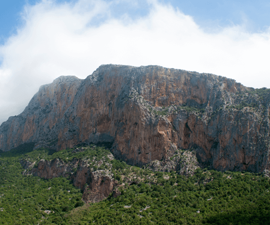 إذا كان لديك يوم إضافي…