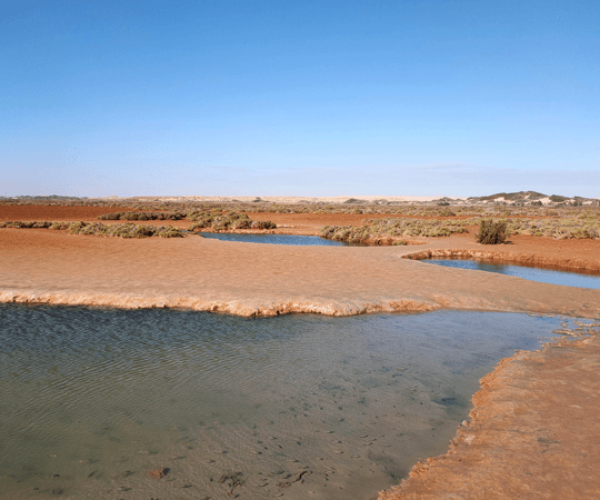 إذا كان لديك يوما إضافيا