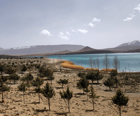 إذا كان لديك يوم إضافي