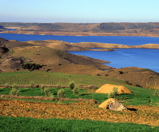 إذا كان لديك يوما إضافيا…