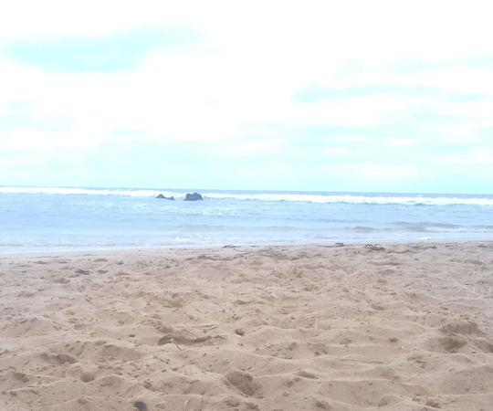 Si vous avez un jour de plus…