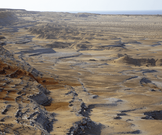 إذا كان لديك يوما إضافيا…