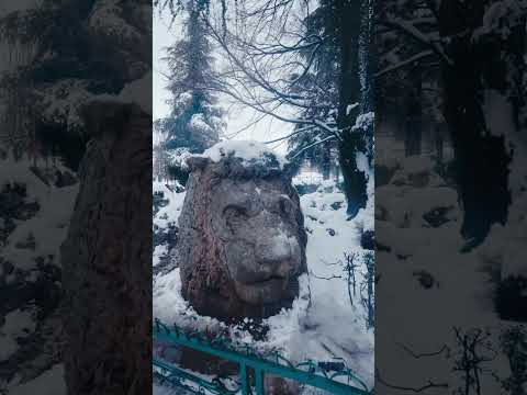 Morocco is not only sun and sand. Meet Ifrane, the frosty mountainous side of the country ❄️